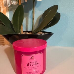 White Barn Cactus Blossom Vibrant Pink Candle